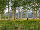 View behind Geyser Pass Hut in the La Sal Moutains