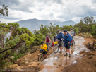 Rain in Moab? … and lightning and thunder